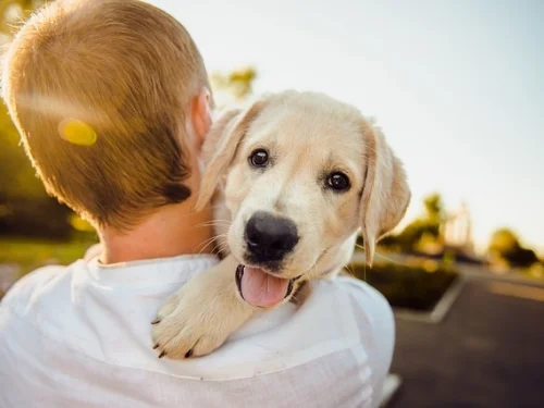 Merkür Burcunun Doğum Haritası Anlamları
